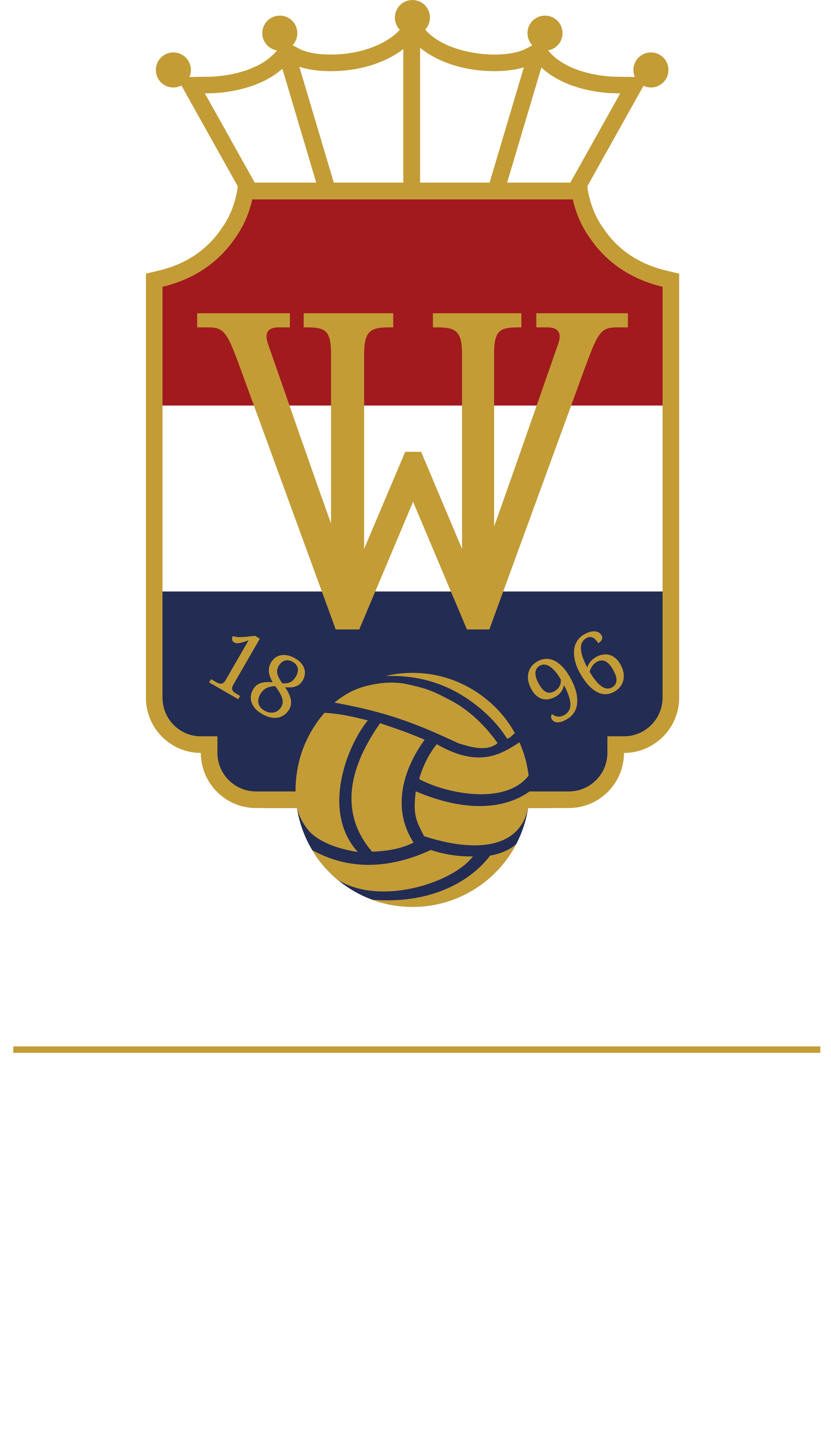 Logo url